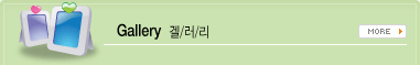 갤러리